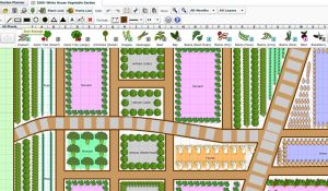 Helpful Tips For Garden Planning Using Number Of Days To Harvest