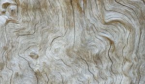 Mastering the Art of Wood Veneer Craftsmanship