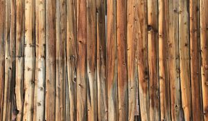 Instructions to craft simple wooden coasters as a starter project.