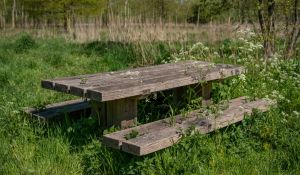 Easy guide for building a small wooden bench, perfect for beginners.