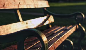 Instructions for creating various styles of outdoor wooden benches.