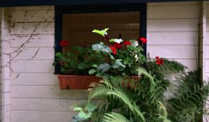 How to craft beautiful wooden planters for gardening purposes.