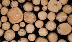 Instructions for building a wood fire pit safely and creatively.