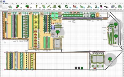 Vegetable Garden Planning – Simple Steps To Making A Successful Vegetable Garden Plan