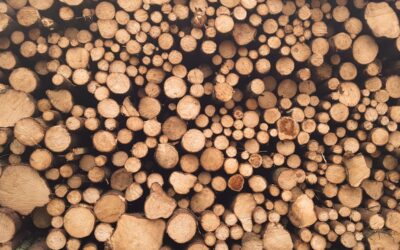 Crafting Masculinity: 10 Unique Woodworking Projects for Men