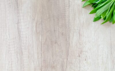 Unlocking the Secrets of Wood: The Fascinating Science Behind Woodworking Materials