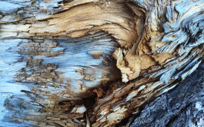 Wood Shop Heating: Options to Keep Your Workspace Warm