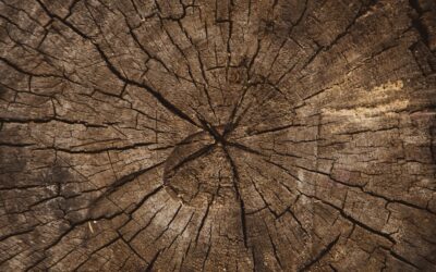 An overview of decorative wood trim pieces and how to incorporate them in projects.
