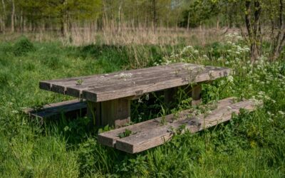 Easy guide for building a small wooden bench, perfect for beginners.