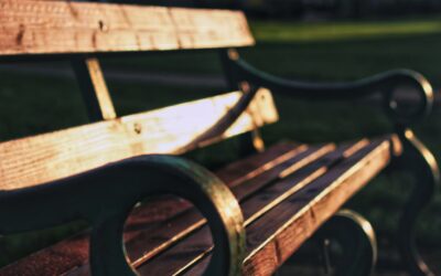 Instructions for creating various styles of outdoor wooden benches.