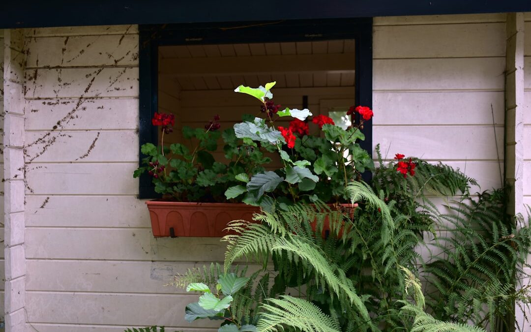 Photo Wooden planter
