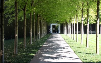 Crafting guide for creating charming and natural-looking wooden paths in gardens.
