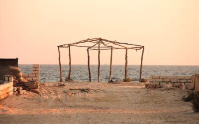 Detailed instructions on constructing a sturdy and stylish wood pergola.