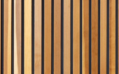 Discussing the benefits and uses of cedar wood in outdoor woodworking projects.