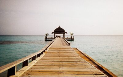 How to care for outdoor wood structures throughout different seasons.