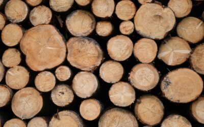 Instructions for building a wood fire pit safely and creatively.