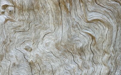 Mastering the Art of Wood Veneer Craftsmanship