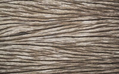Explore the art of wood carving, from basic to advanced techniques.