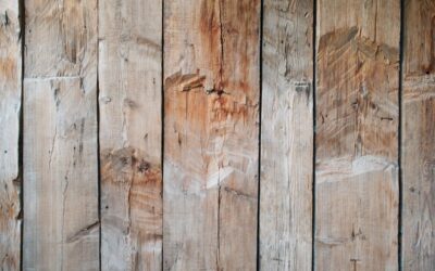 Comprehensive insights into the essential tools for woodworking.